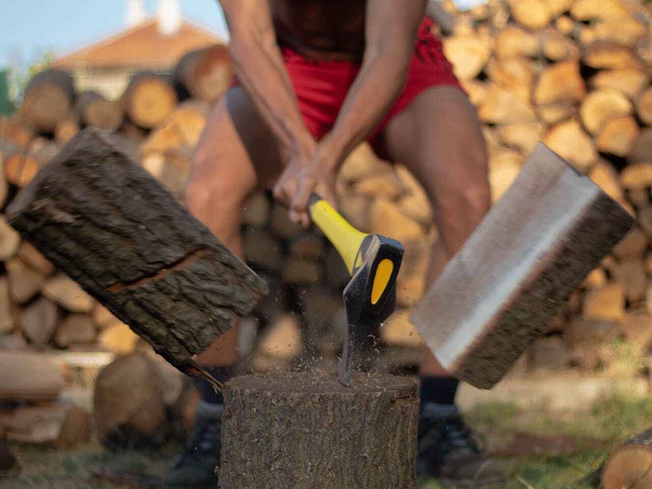 Tree Root Removal in Van Alstyne, TX